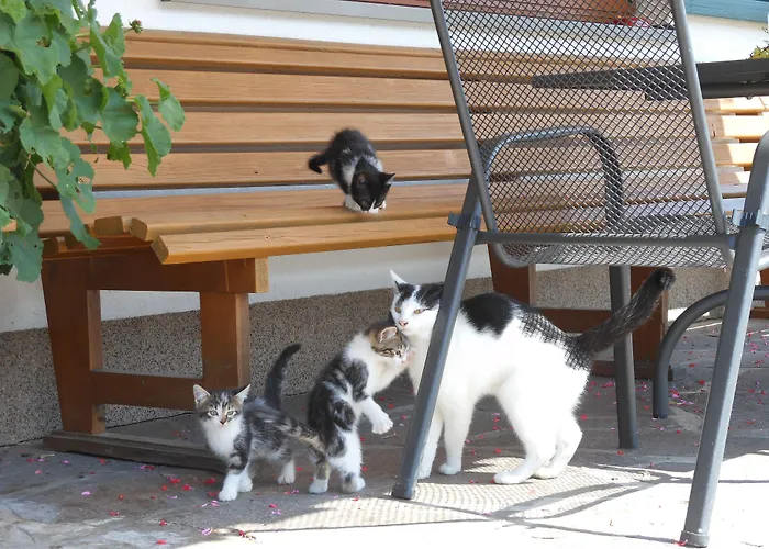 Alojamento de Acomodação e Pequeno-almoço Schneiderbauer Waidring