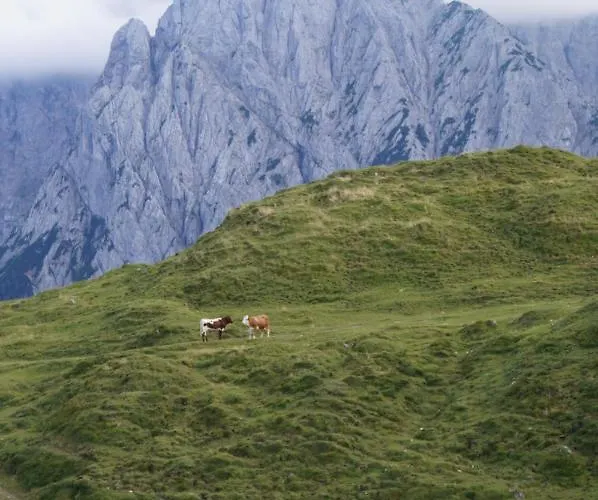 Schneiderbauer Waidring