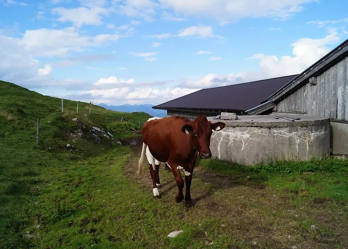 Schneiderbauer 3* Waidring