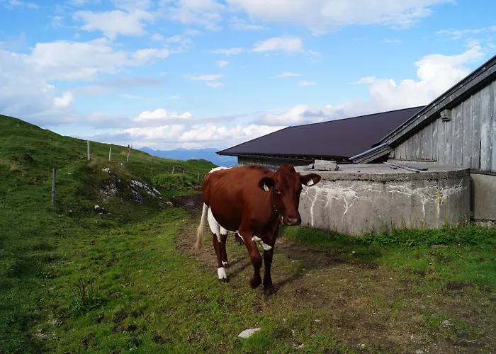 Schneiderbauer 3* Waidring