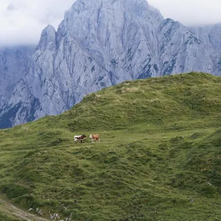 Schneiderbauer 瓦德林