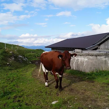 Schneiderbauer 3* 瓦德林